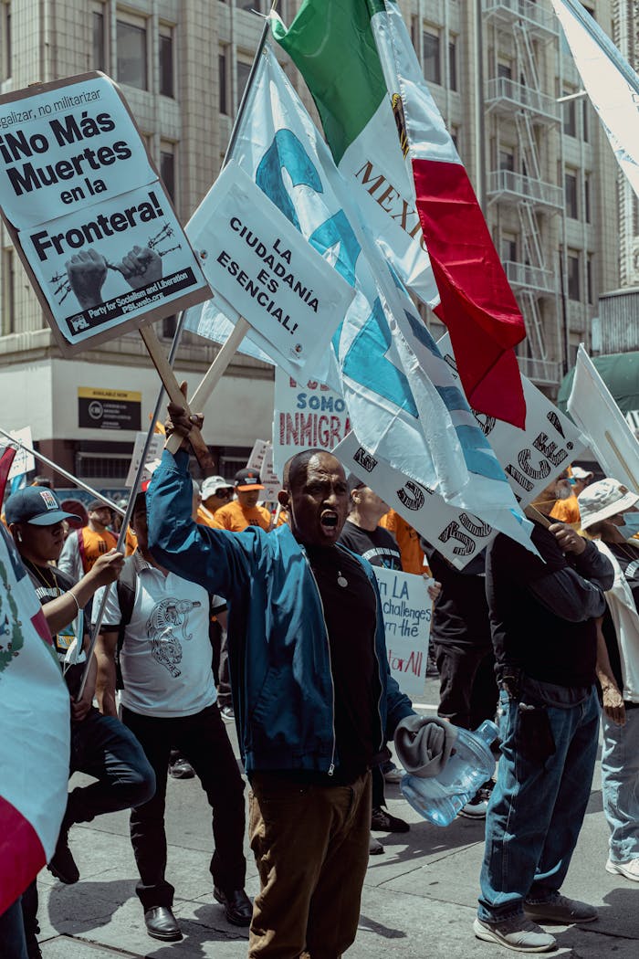 Protesters in Los Angeles raise flags and placards for immigration rights, showcasing diverse voices.